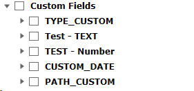custom_field_filter_search